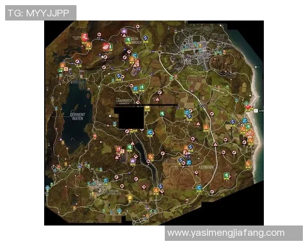 巴伊亚与强者的精彩对决直播全程回顾与分析